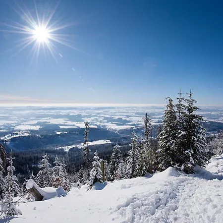 Deluxe S Terasou 3 Ski&bike By Alkatravel