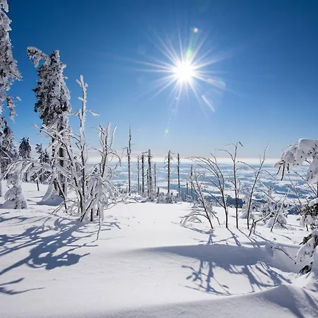 Deluxe S Terasou 3 Ski&bike By Alkatravel Lägenhet *